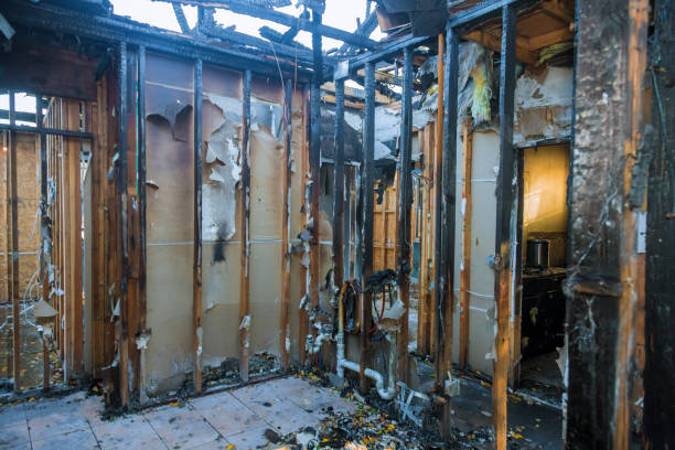 Professional Smoke Damage Removal technician working in Greenville, PA
